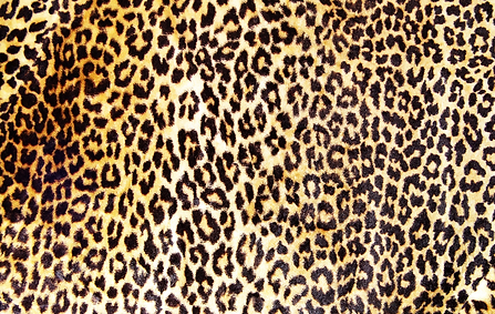 Leopard pattern.png