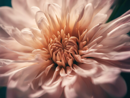 Heal, Rebuild, Thrive: Women's Biblical Coaching for Transformation