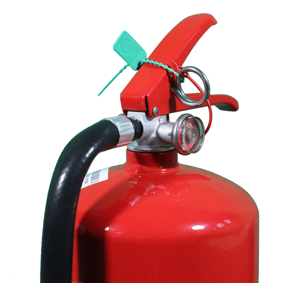 縮圖：Firesafe 4.5KG ABC 乾粉式滅火筒 (EED 45)