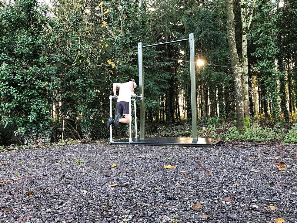 Thumbnail: INDUSTRIOUS DIP & PULL-UP RIG