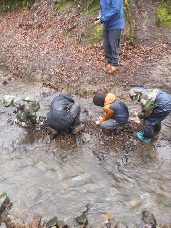 OUTDOORSMAN SURVIVAL SKILLS 2.jpg