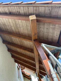 WhatsApp Image 2024-03-19 at 10.33_edited