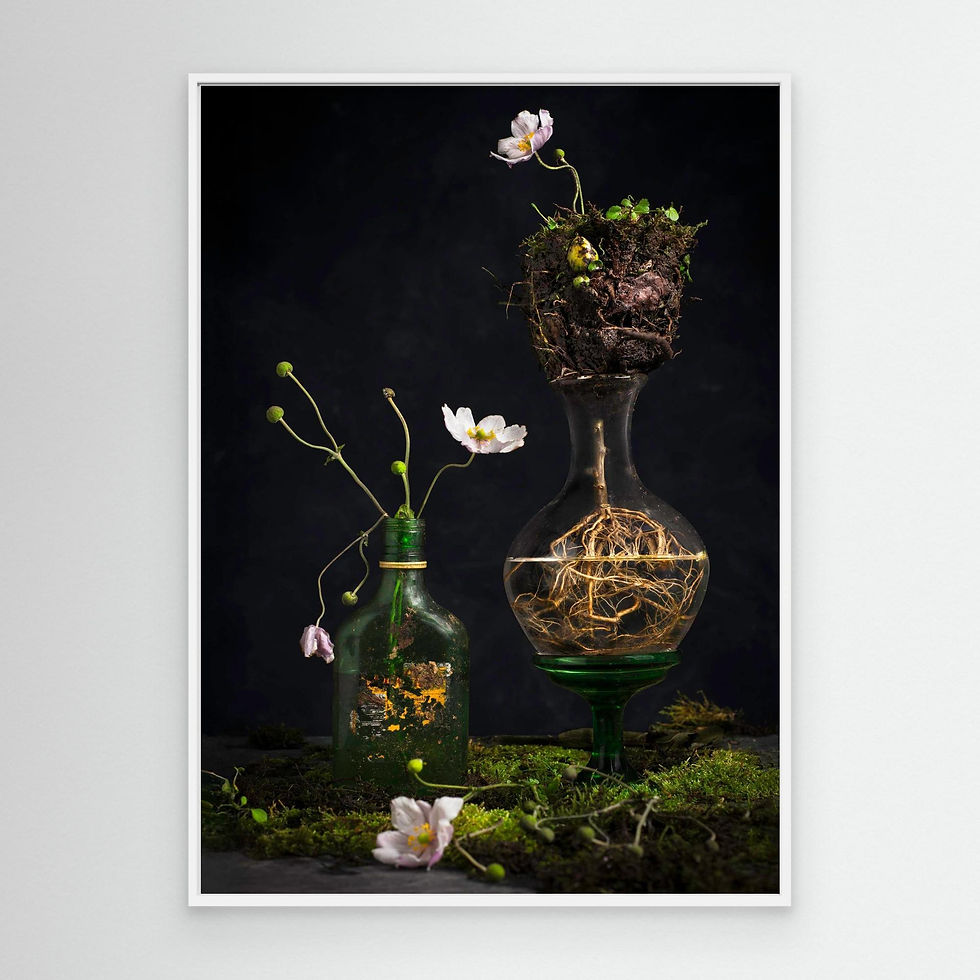 Thumbnail: Nature will out Framed Canvas