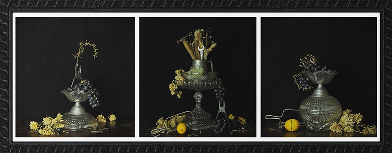 Strength Triptych framed.jpg