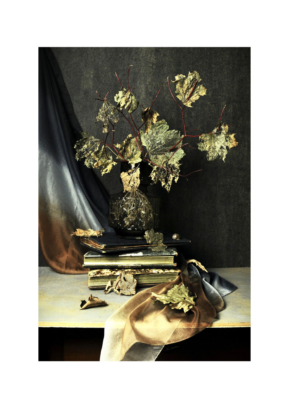Still life image .Textured glass vase holds sharp twigs this decaying leaves skewered on its branches. There is a soft drape and vintage books.