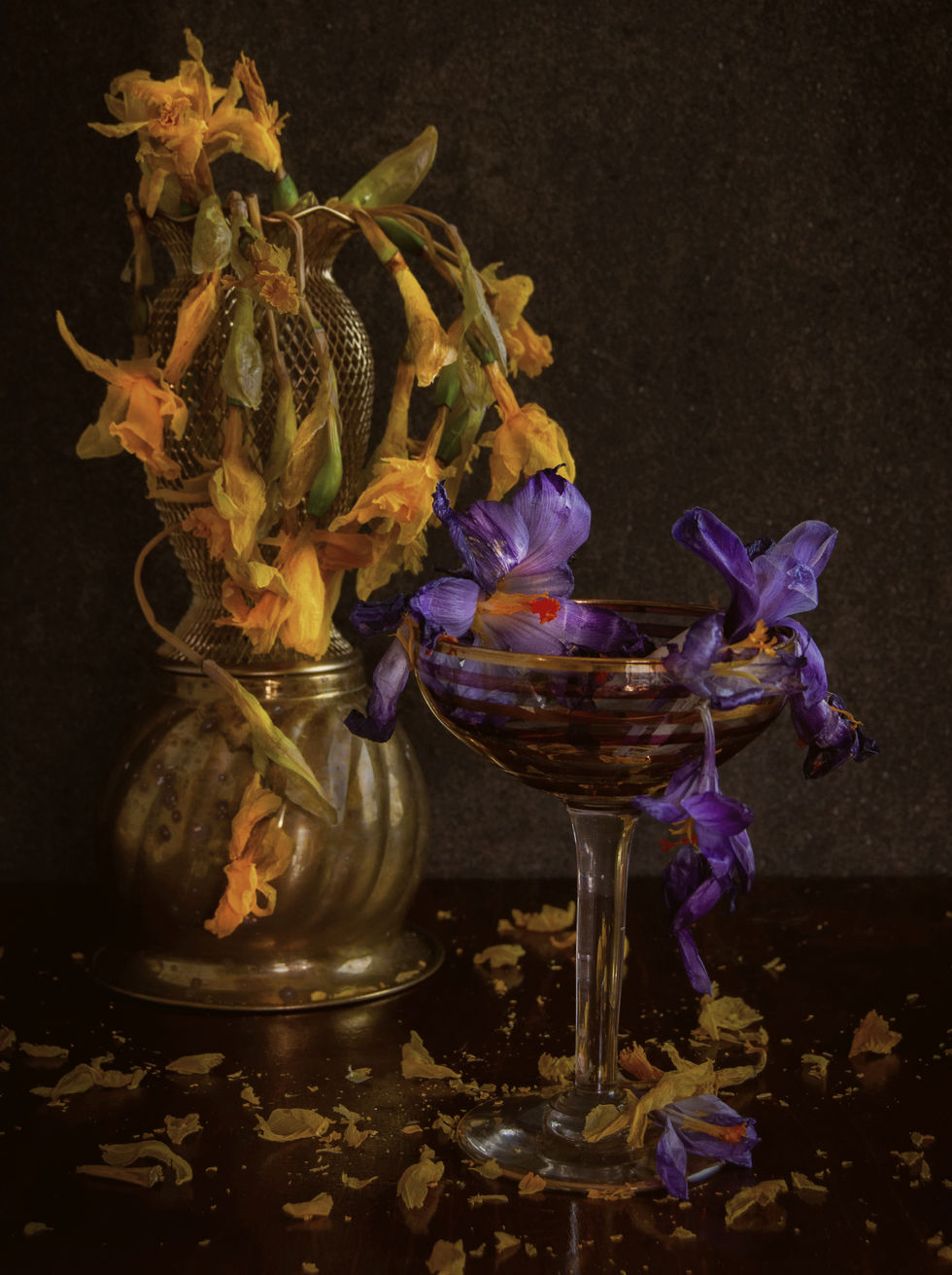Dried daffodils and wilted crocus are used in a traditional still life. their petals lay all around them. the crocus flowers spill out of a coupe glass.