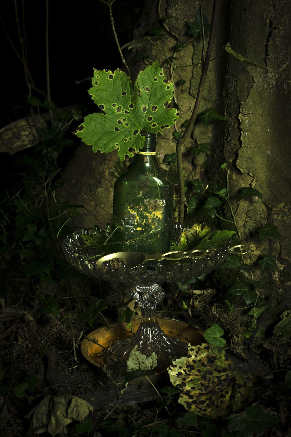 A night time scene of a still life with a large tree forming the back drop. Inspired by Dutch Masters use of light. natural elements are placed alongside man-made litter.