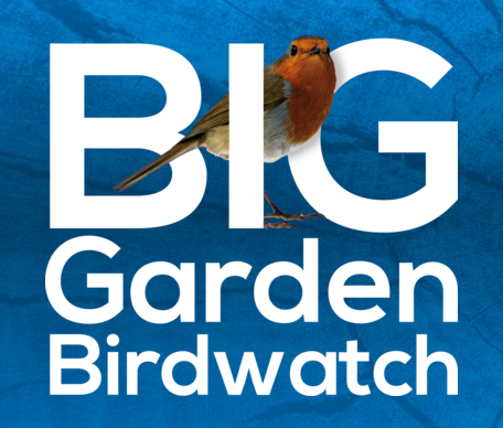 Cercasi aiuto di birdwathcers! Birdwatchers' help needed!