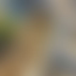 Il diario di una volontaria dal Regno Unito! Guest blog from an Ambios Trainee!