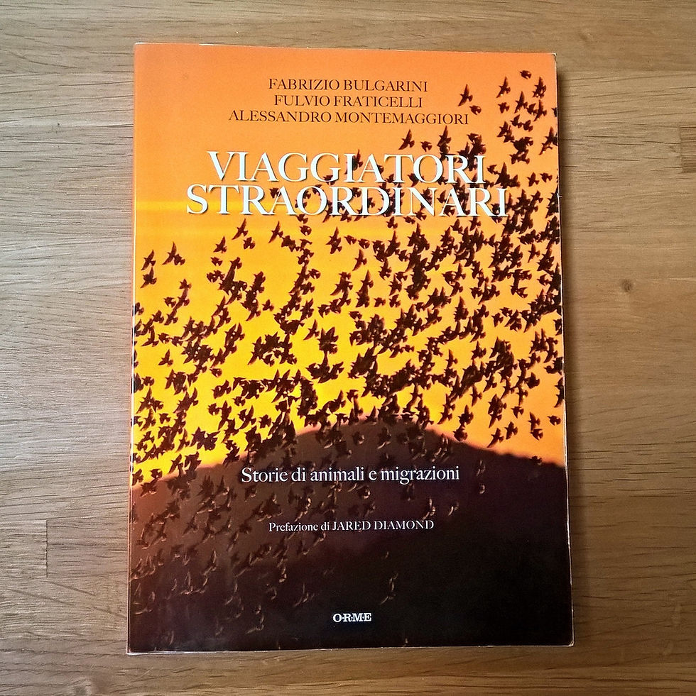 Bulgarini F., Fraticelli F., Montemaggiori A., 2016. VIAGGIATORI STRAORDINARI - Storie di animali e migrazioni. ORME Ed.
