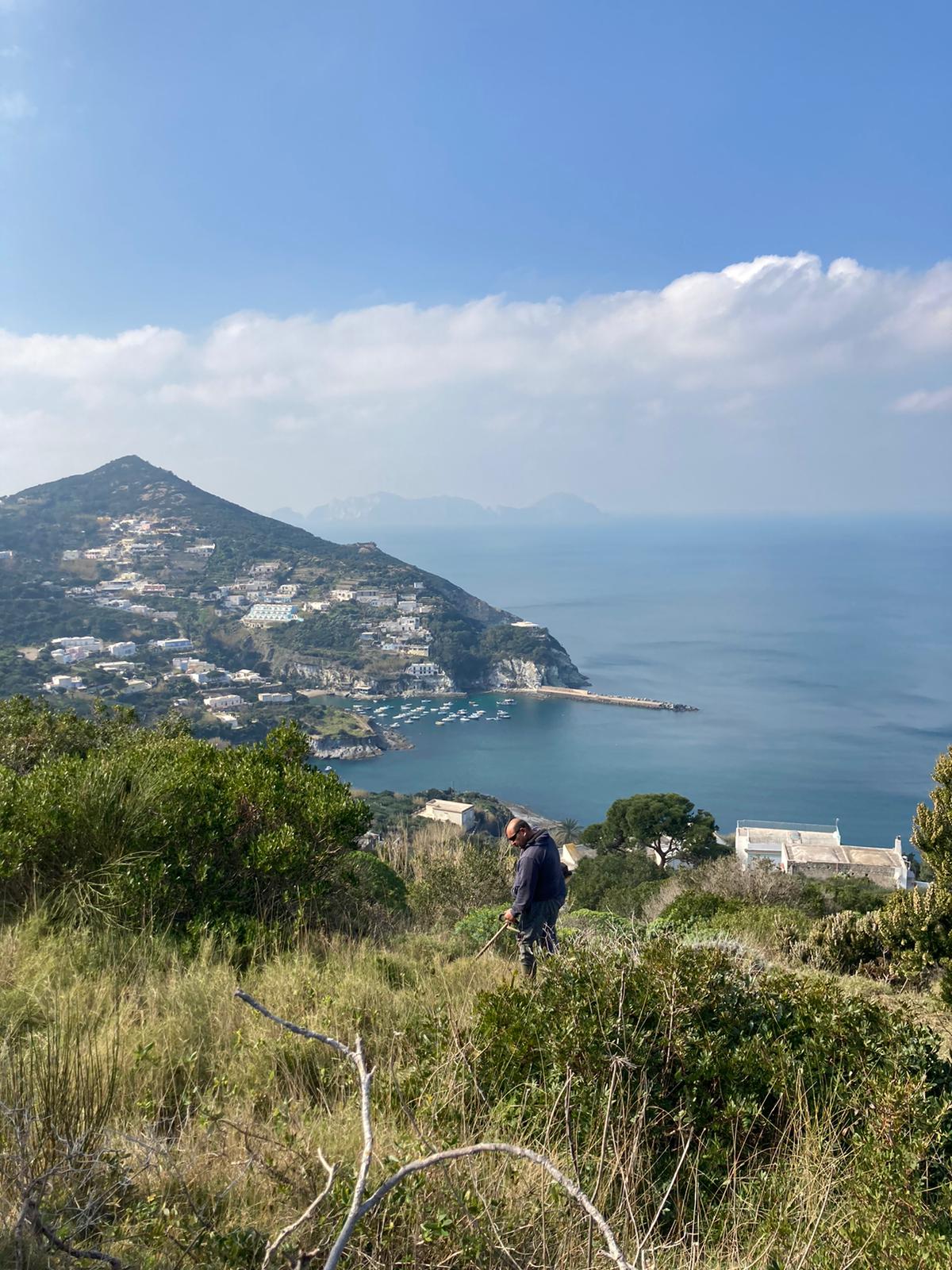 panorama