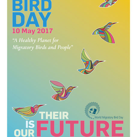 Happy bird-day to you!