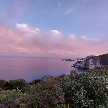 La pazienza è la virtù degli inanellatori