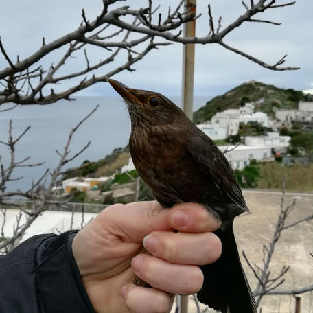 Primo dei primi! First of the firsts!