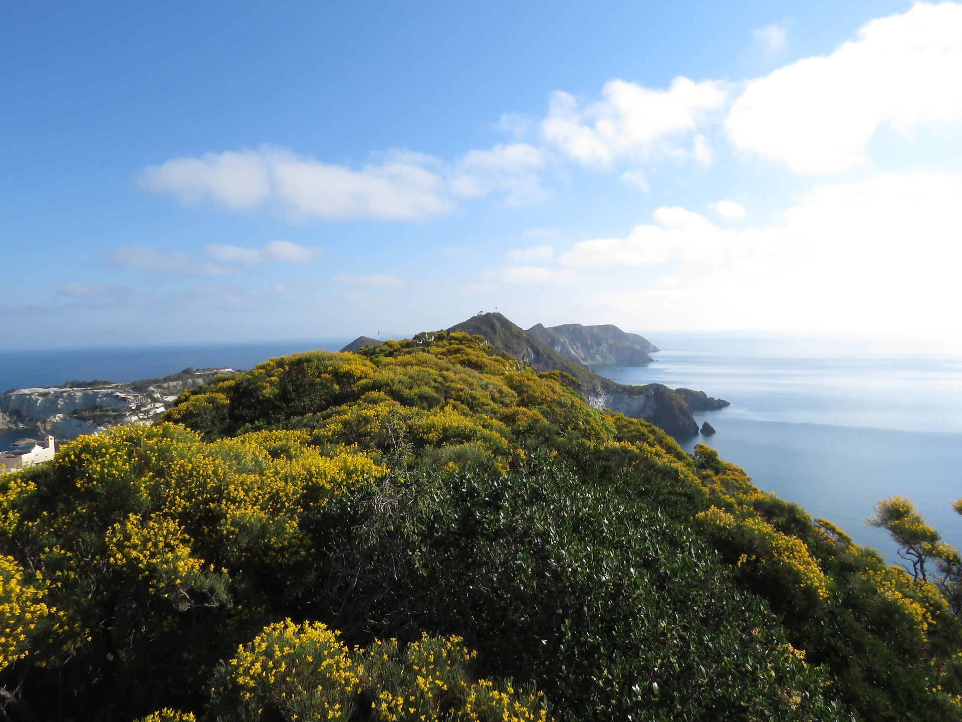 panorama ponza