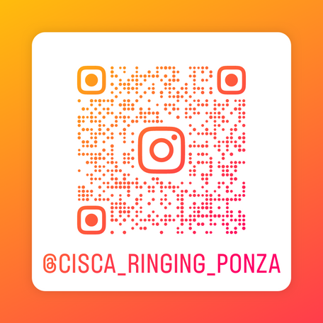 CISCA on Instagram