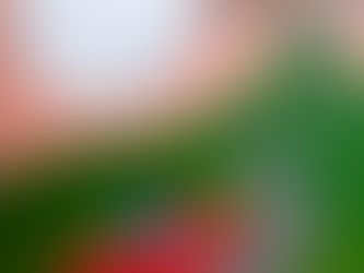 Full Moon (Lunar Eclipse) in Cancer - Road to Happiness