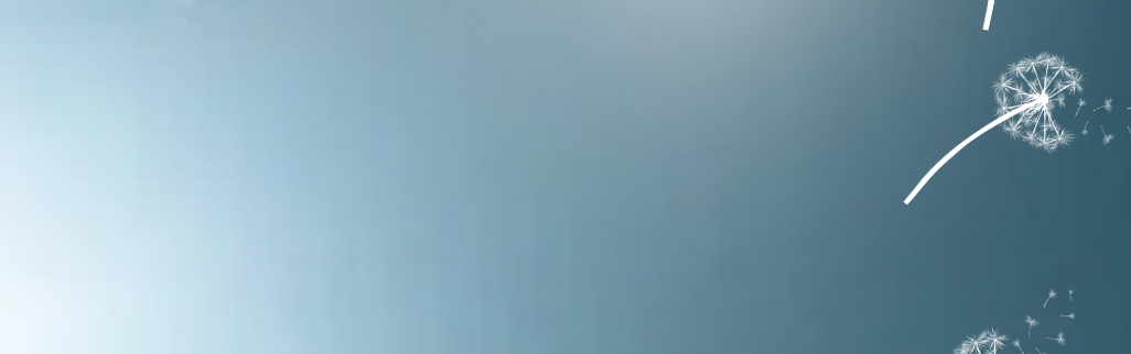 Screenshot 2025-03-14 at 7.12.24 AM.png