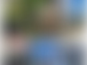 Um domingo (quase) qualquer