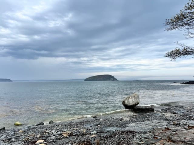A rocky beach on the Maine coast