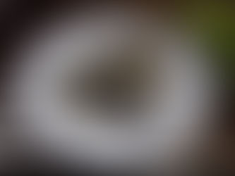 オススメダイエット食材、それは魚~~~!