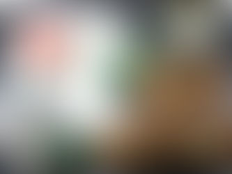 一番重要!カロリー計算と3大栄養素の計算はお済みですか?まだの方は東まで!
