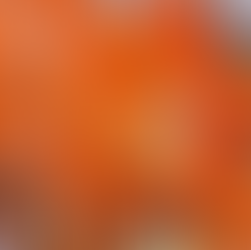 Bharatiya Janata Party appoints new state chiefs ahead of 2024 Lok Sabha elections.