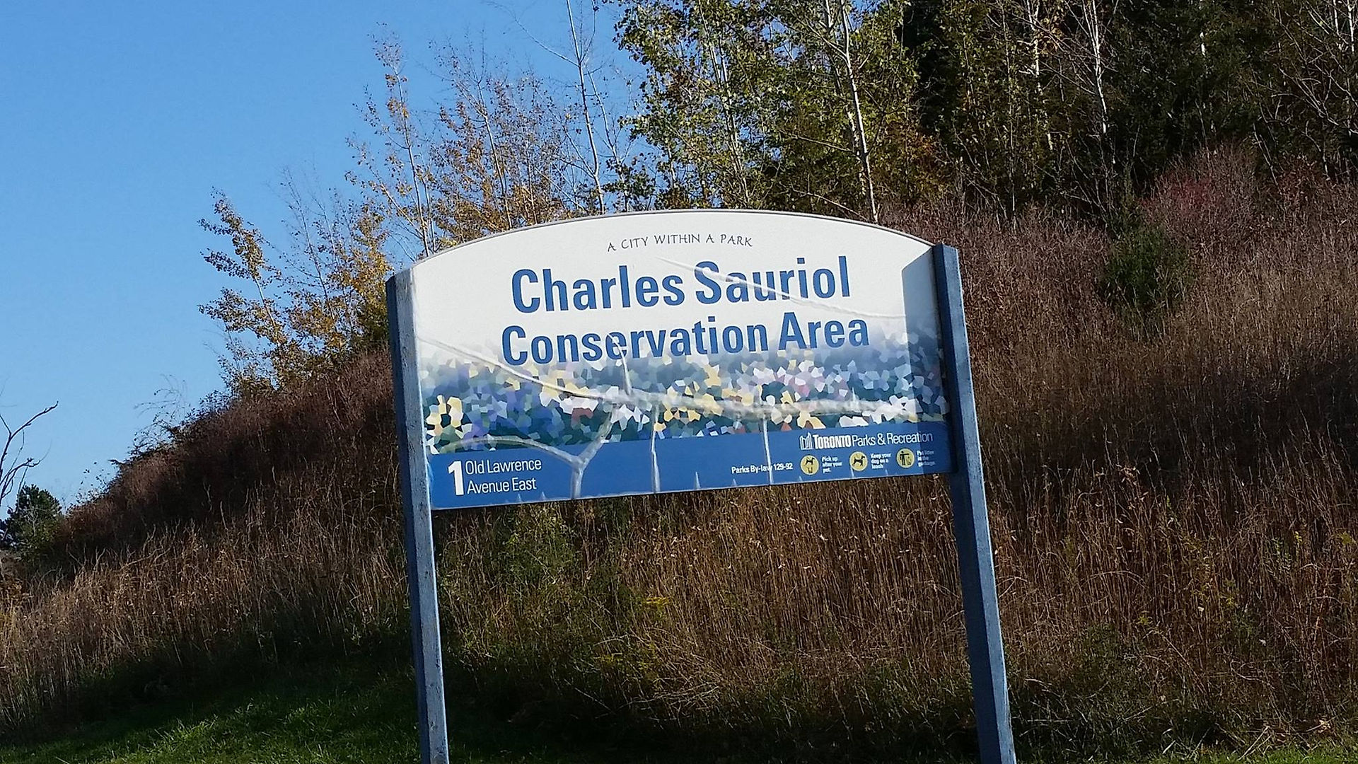 Charles Sauriol 是多倫多有名的自然主義者。
