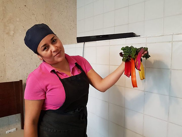 「葛診」廚房工作人員展示不同顏色的有機Swiss Chard 瑞士甜菜