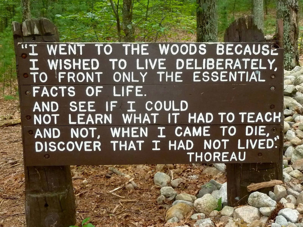 「Thoreau 梭羅」名言