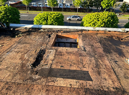 commericial hatch repair before.jpg