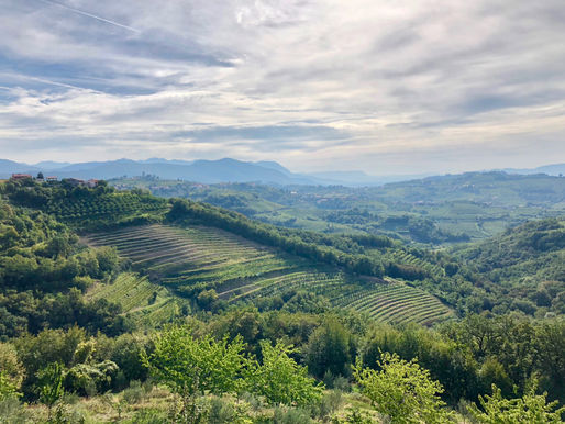 Goriška Brda, Slovenia’s Tuscany