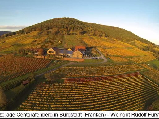 Germany’s New Wave: Why German wine is trending now – Tasting 09/08/2021 London