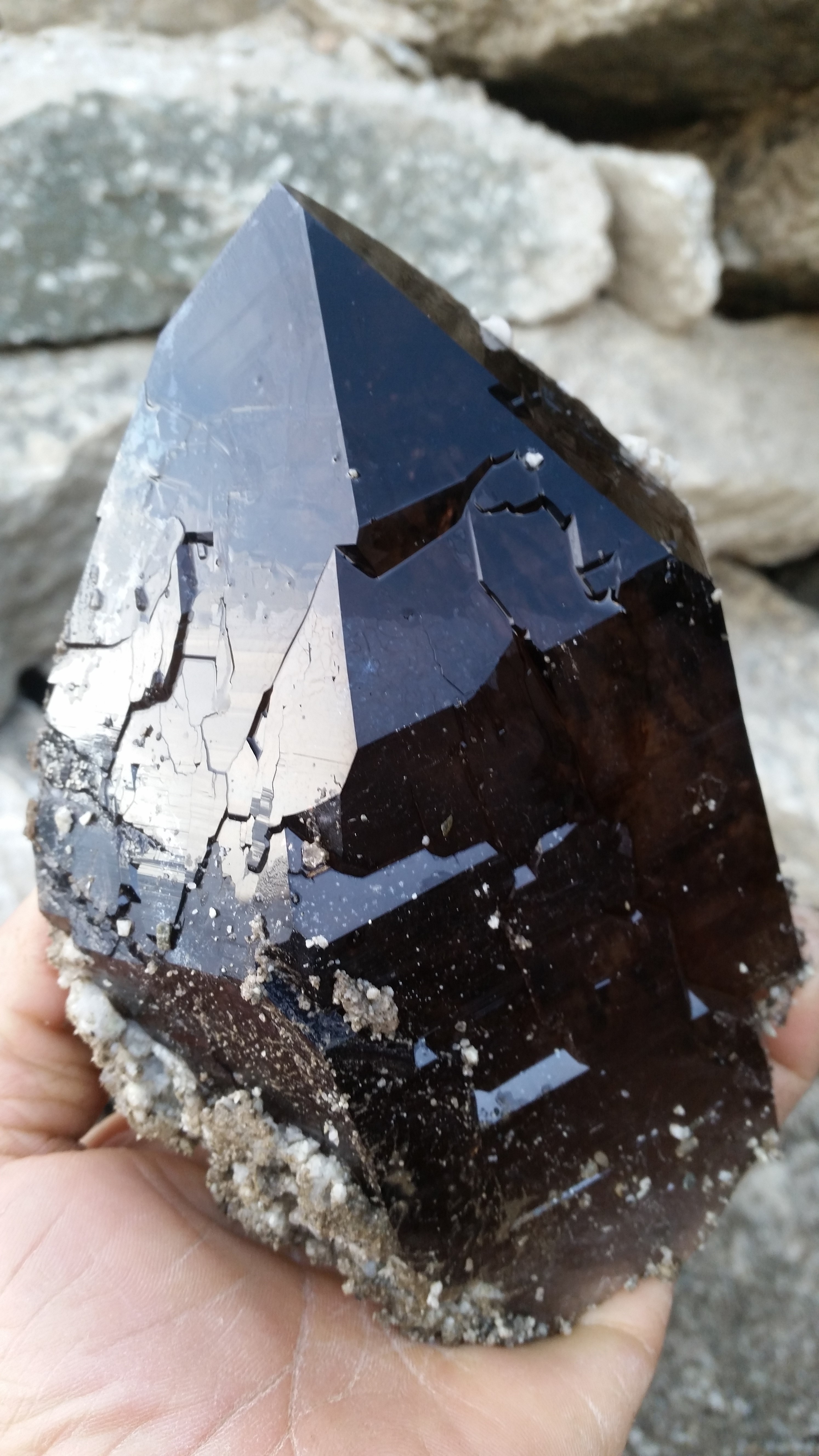 Rauchquarz Morion Kristalle Filet