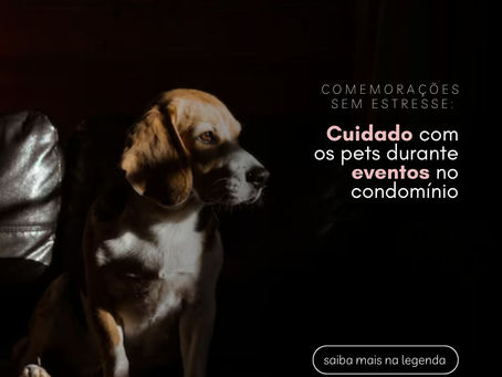 Comemorações sem estresse: Cuidados com os pets durante eventos no condomínio