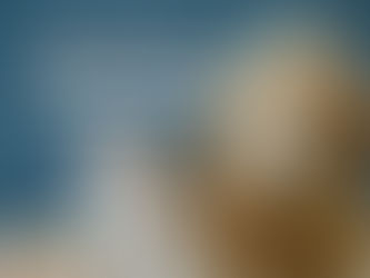 Lar de Peludos: é obrigatório aceitar pets em condomínios ?