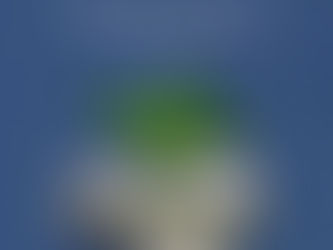 Condomínio Sustentável: Estratégias que geram impacto e reduzem despesas