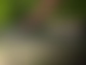 Desvendando os Benefícios e Desafios: A Implantação de poços artesianos em condomínios