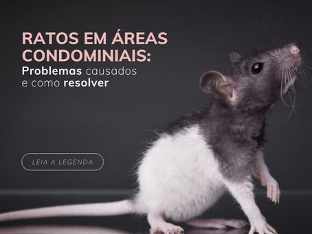 Ratos em Áreas Condominiais: Problemas causados e como resolver
