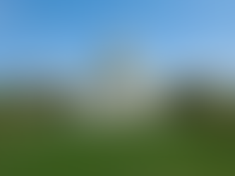 So You Want to Become a Congresswoman?