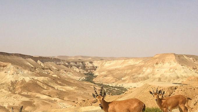 Unspoiled Spots to Visit