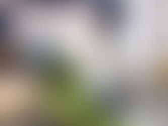 1,000 Meals in a Day