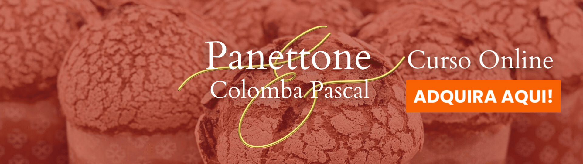 PADOCA_Panettone online Site  VFC (3).gif