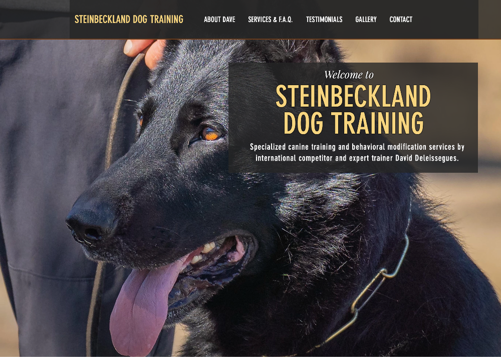 Home Steinbeckland Dog Training