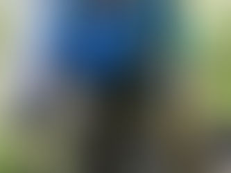 ESWA Leadership Positions Available