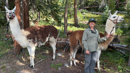 Congrats on two more successful llama-supported backcountry work trips!