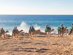 PRESENTAMOS RECORRIDOS VIRTUALES POR TODO LOS CABOS!