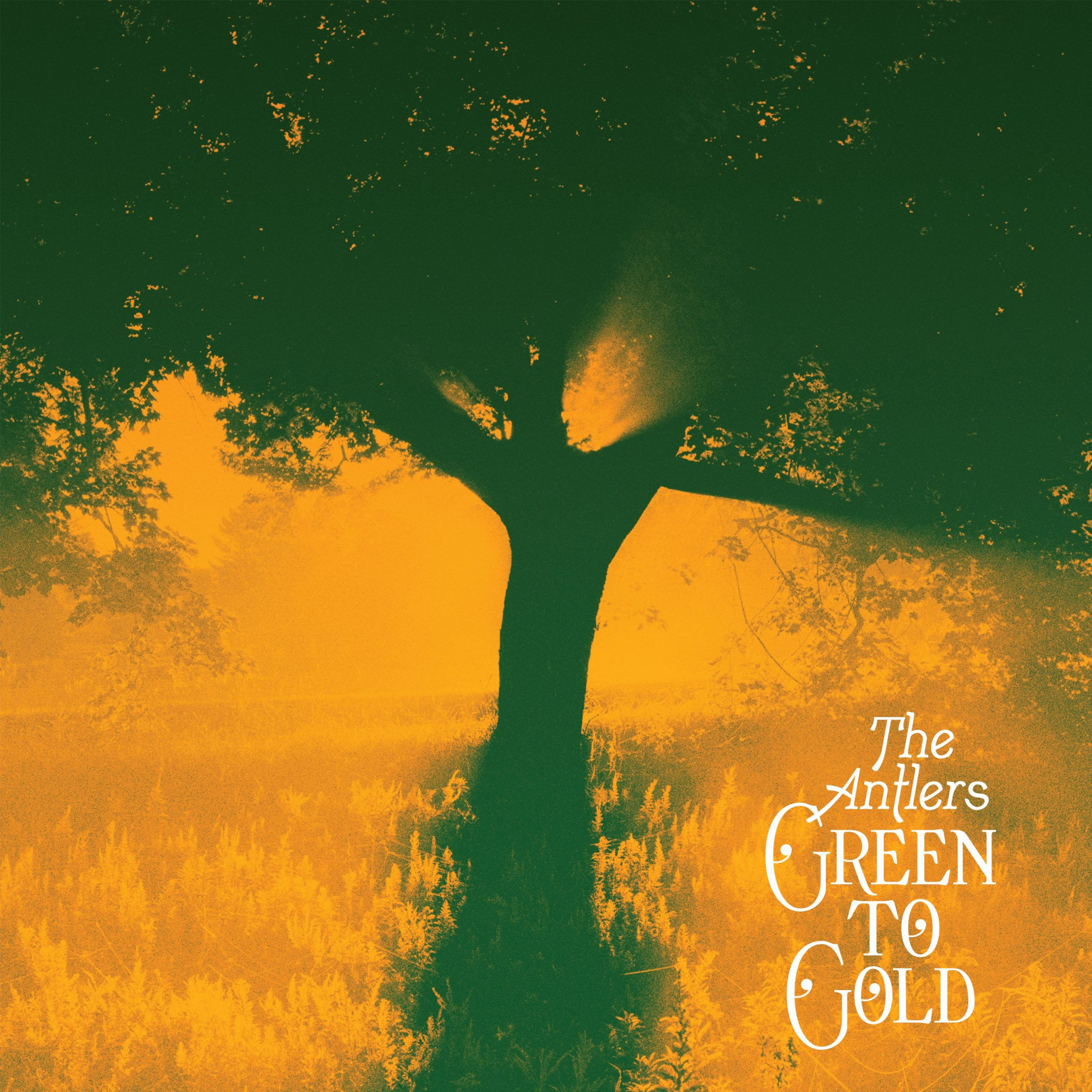 The Antlers 'Green To Gold' (Transgressive)