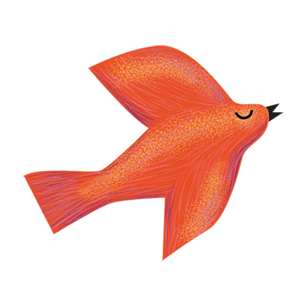 red bird
