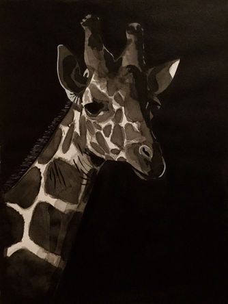 A painting by Emmelyn Redd of a black and white giraffe on a black background using India ink.